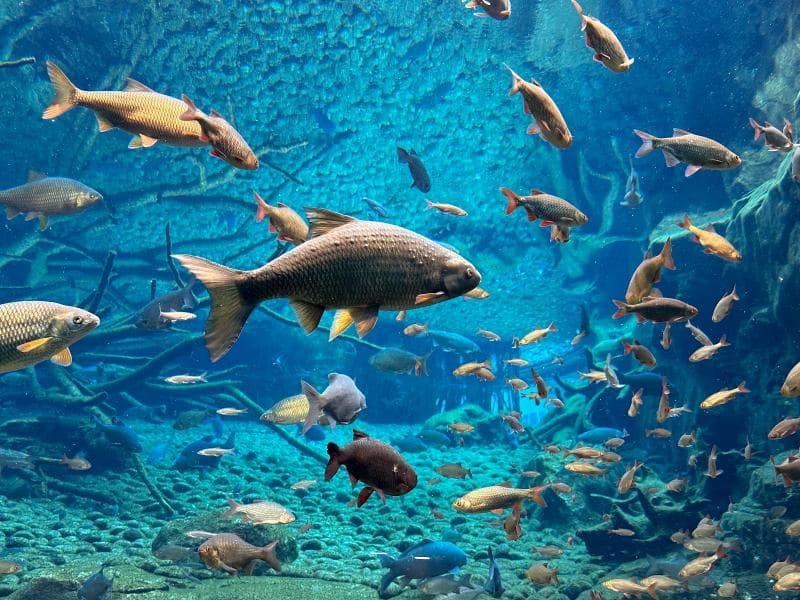 Alpenzoo Innsbruck