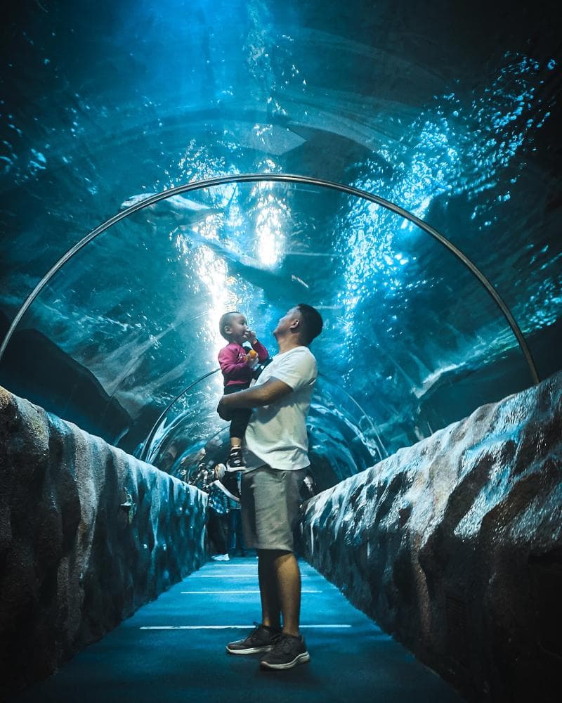 Aquarium Tunnel