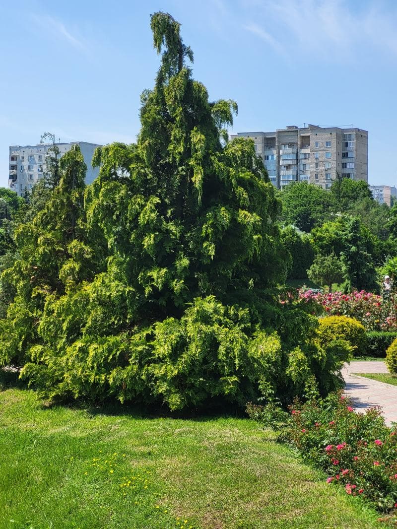 Dendrarium Park