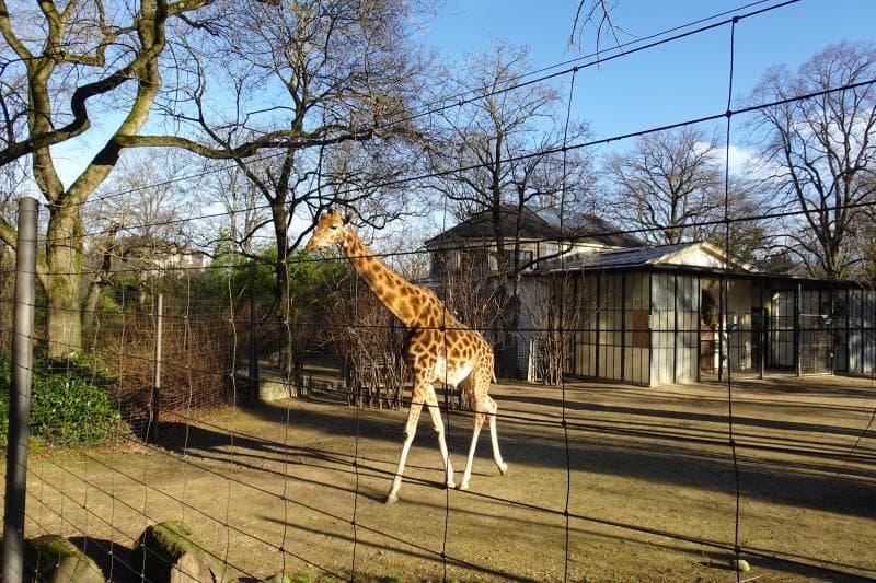 Etosha House