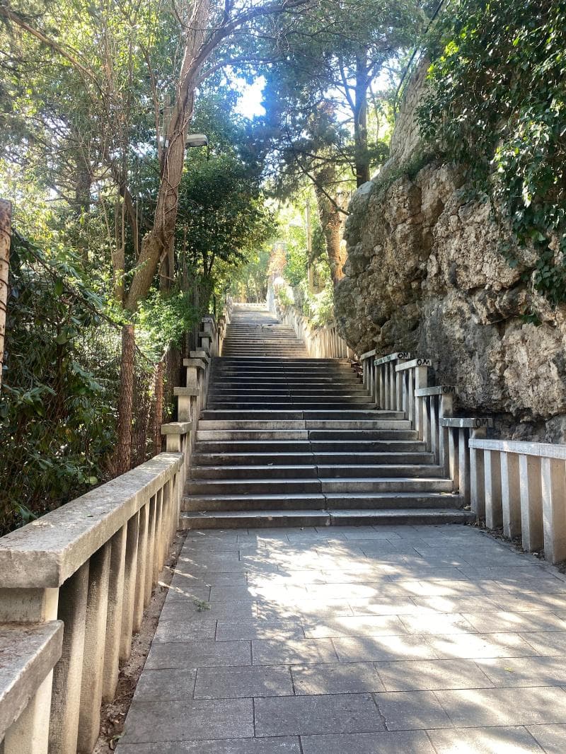 Hiking Trails