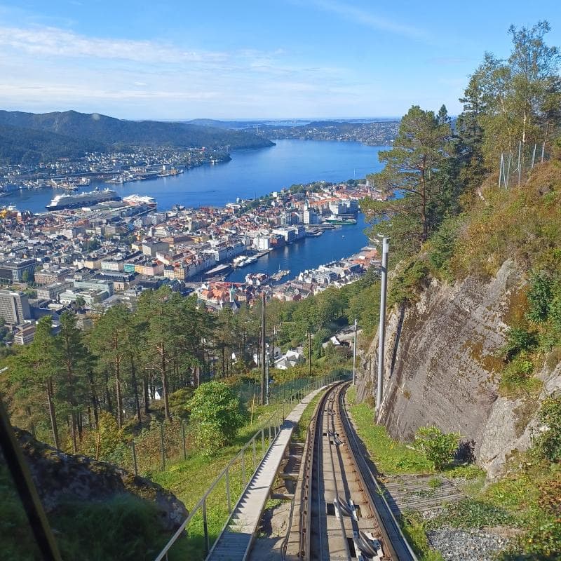 Panoramic Rides