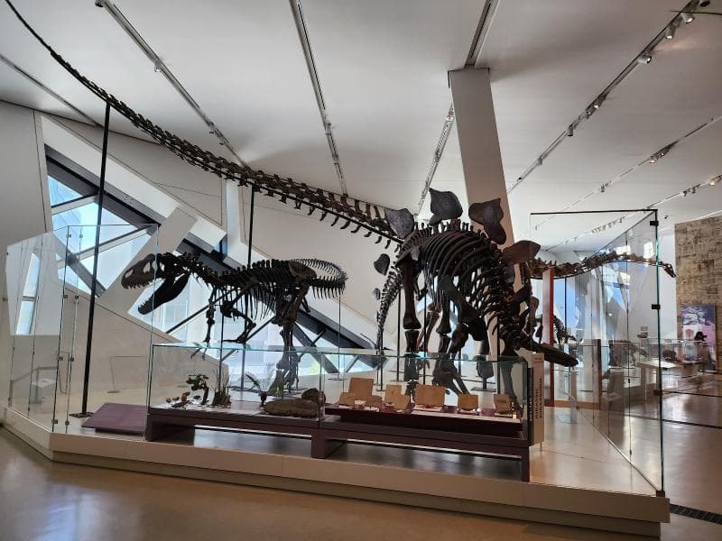 Royal Ontario Museum