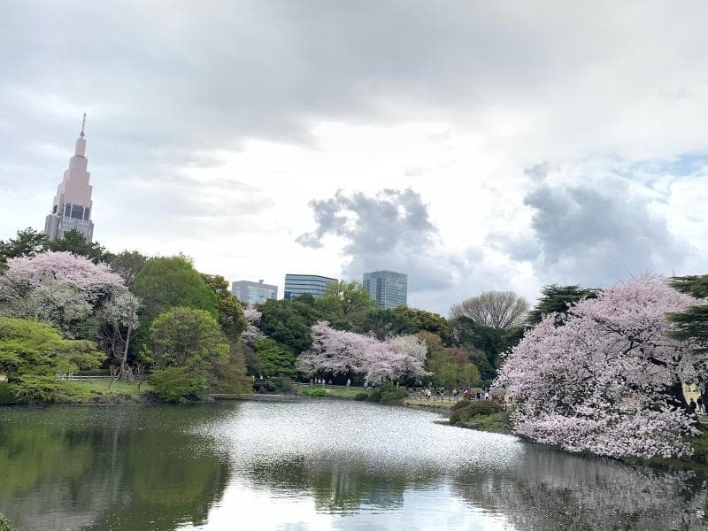 Shinjuku Gyoen