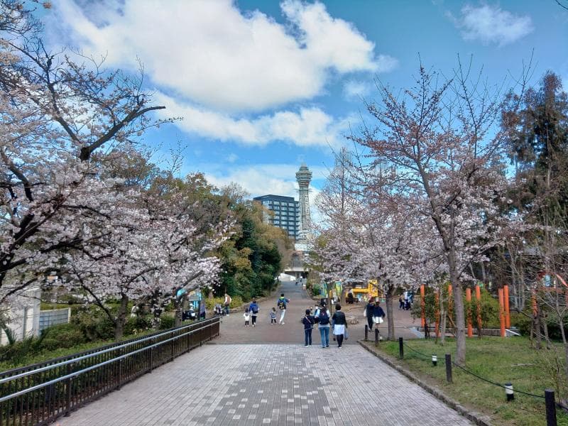 Tennoji Zoo & Park Area