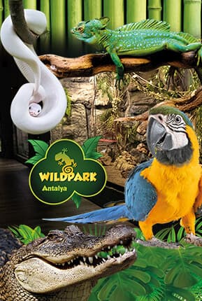WildPark Reptile House - 2