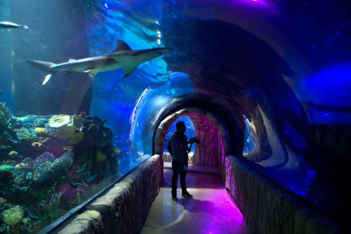 Underwater Tunnel - 2