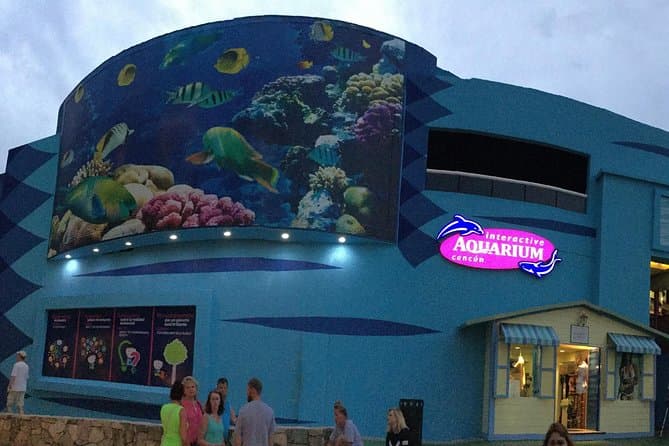 Interactive Aquarium - 2