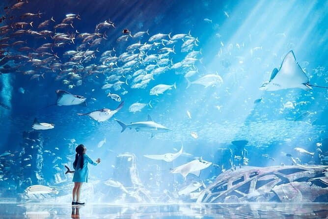 The Lost Chambers Aquarium - 2