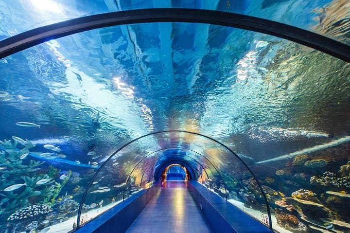 Tunnel Aquarium - 2