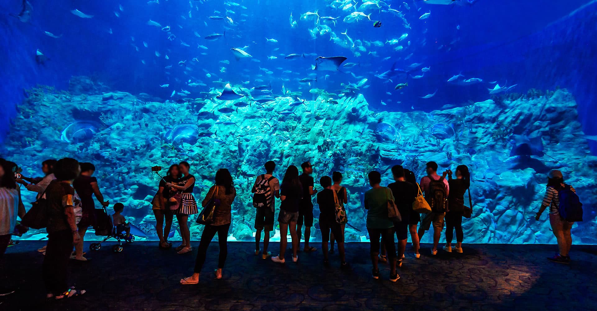 Grand Aquarium - 2