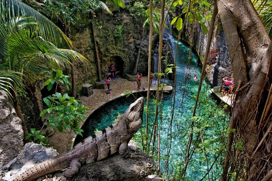 Aviary and Butterfly Pavilion - 2