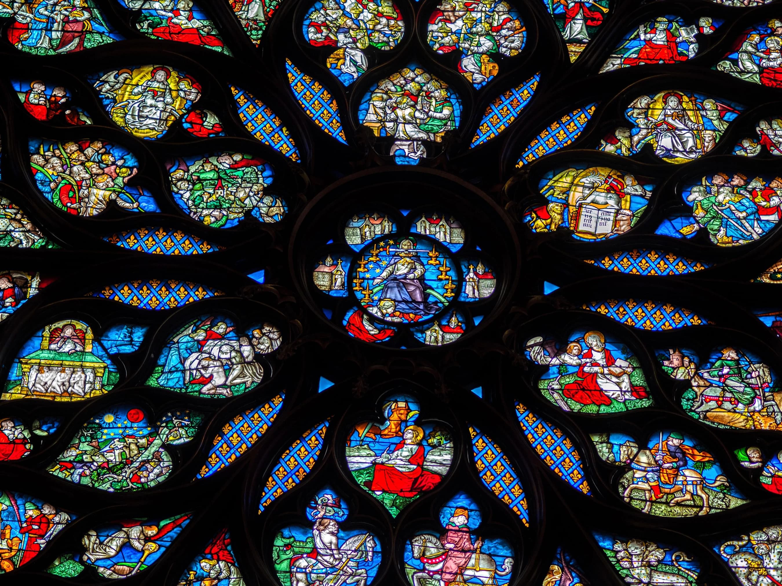 Rose Window - 2