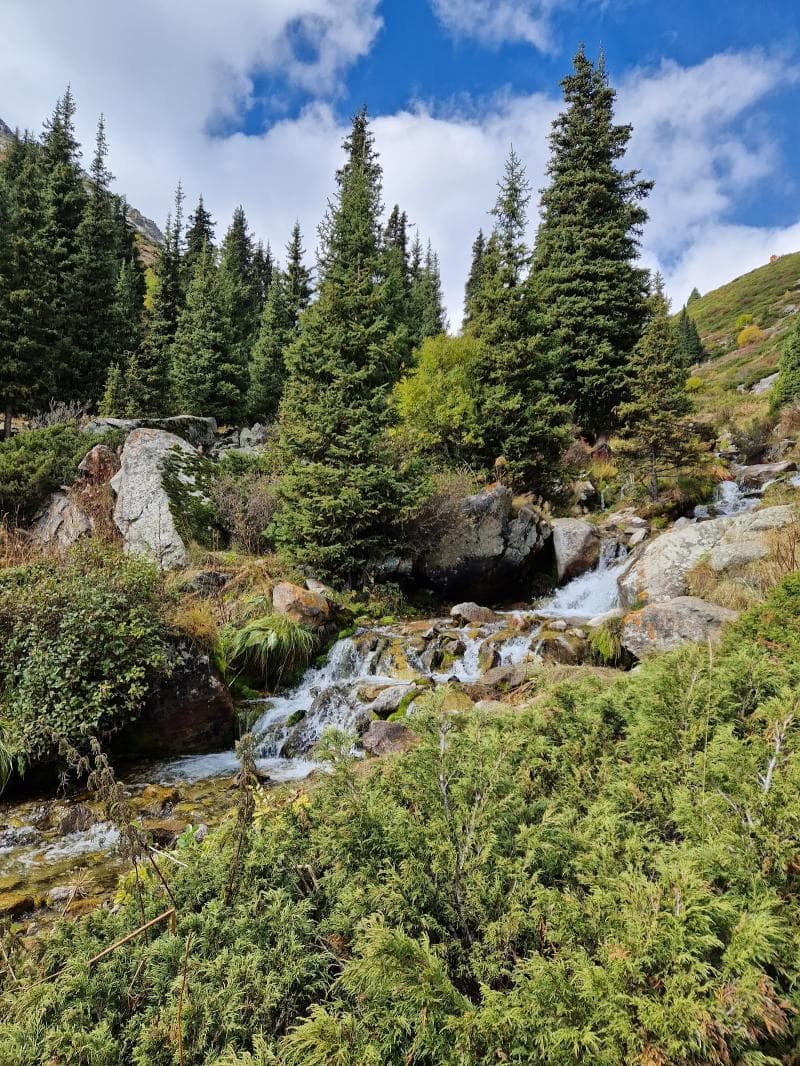 Alpine Landscapes