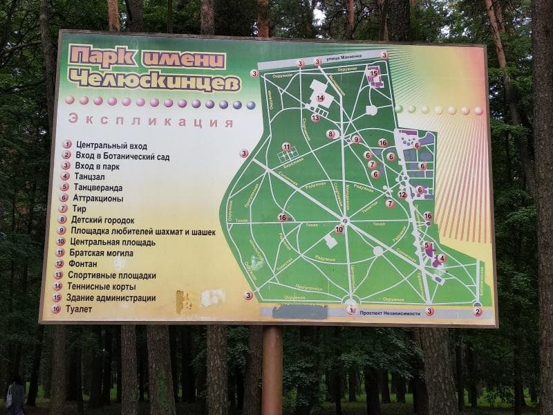 Amusement Rides