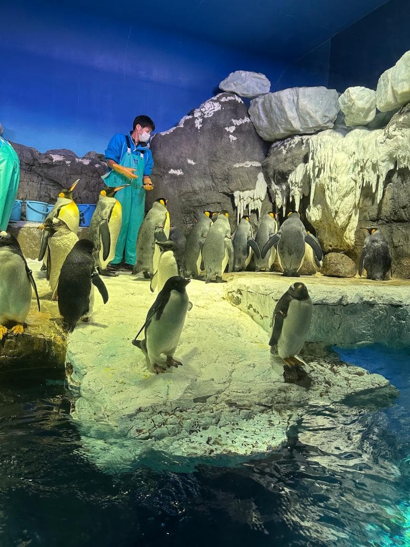 Antarctica zone