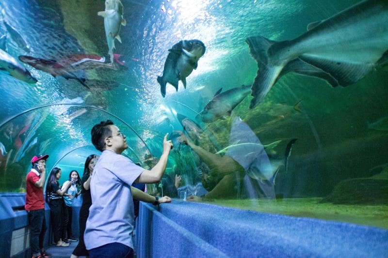 Aquarium