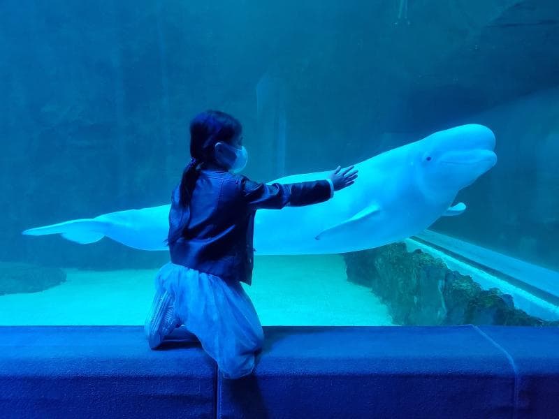 Aquarium