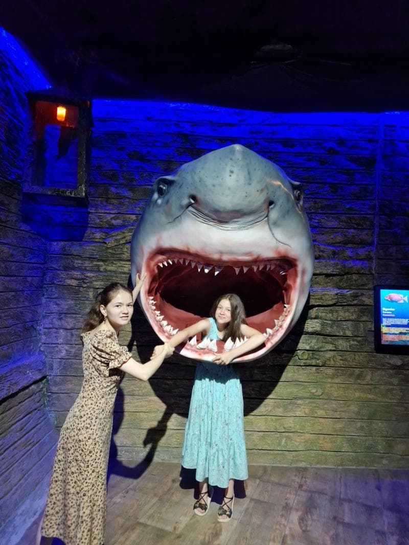Aquarium