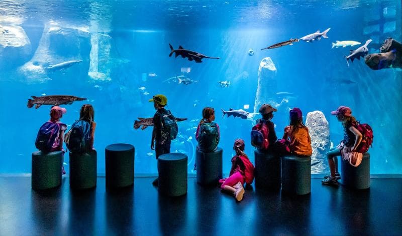 Aquatis Aquarium-Vivarium
