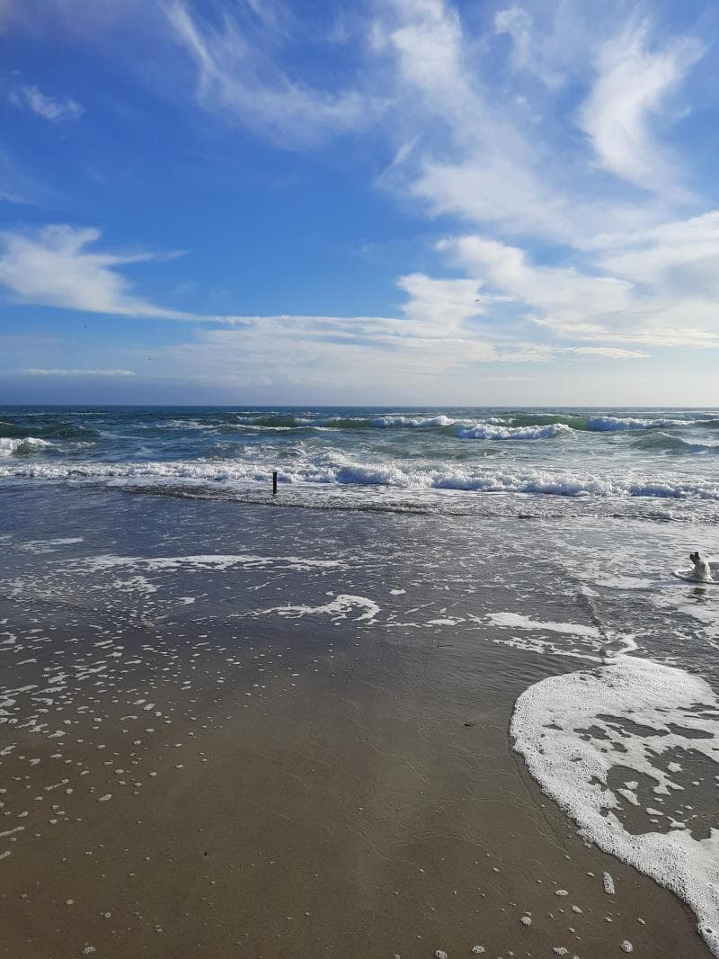 Arcadia Beach