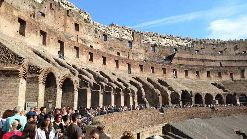 Arena Floor