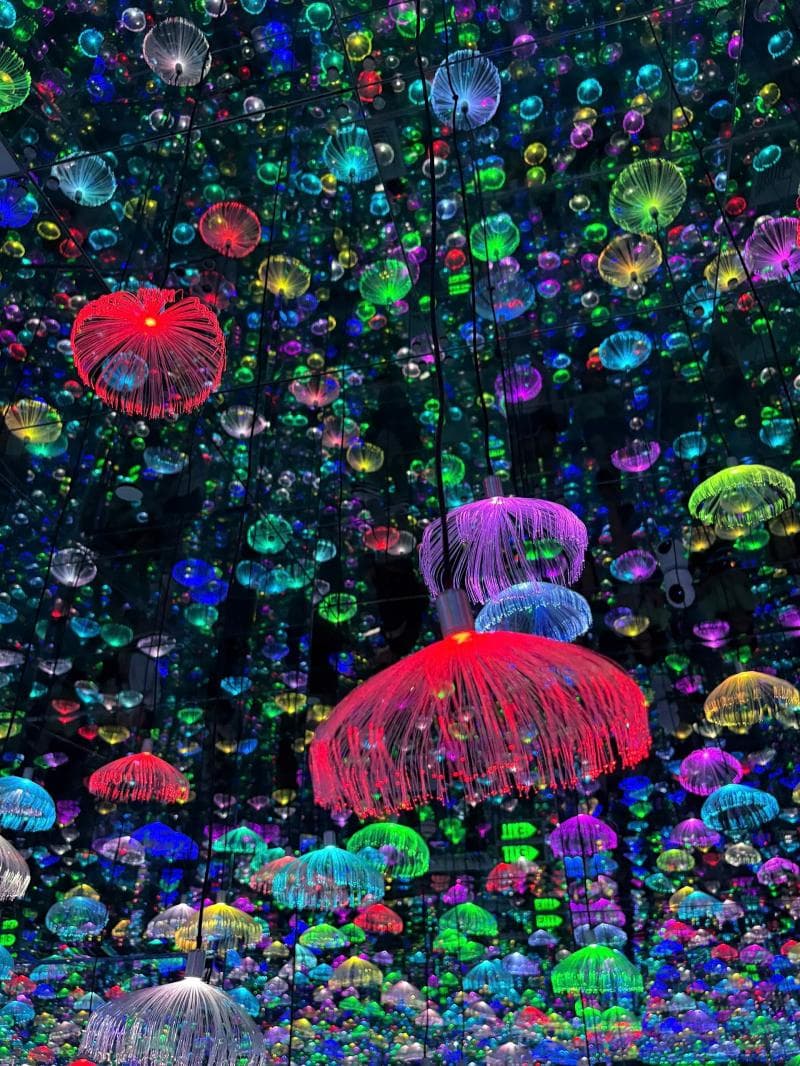 Art Installations