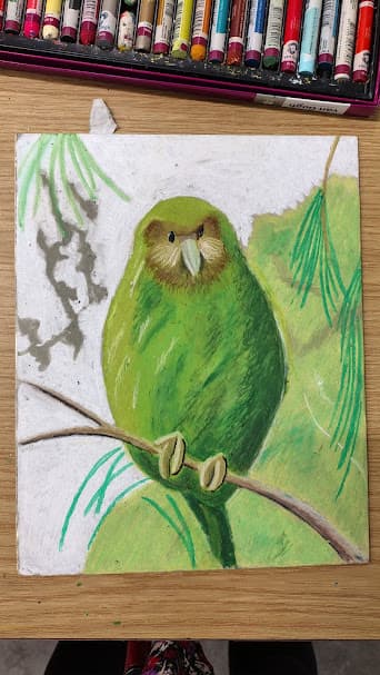 Art Workshops