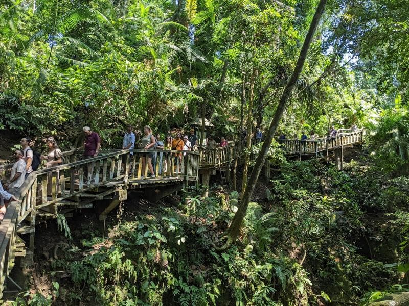 Banyan Tree Zones