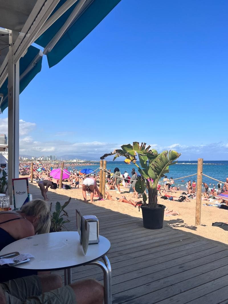 Beach Bars (Chiringuitos)