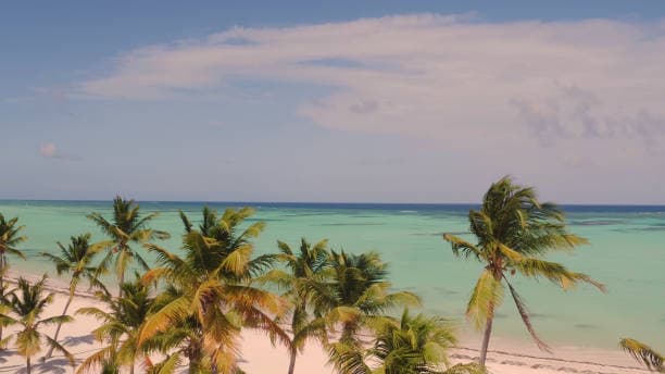 Beach Zones