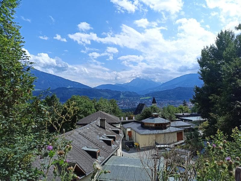 Bear Habitat