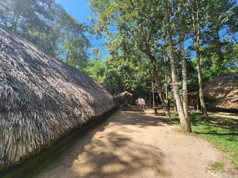 Ben Dinh Section