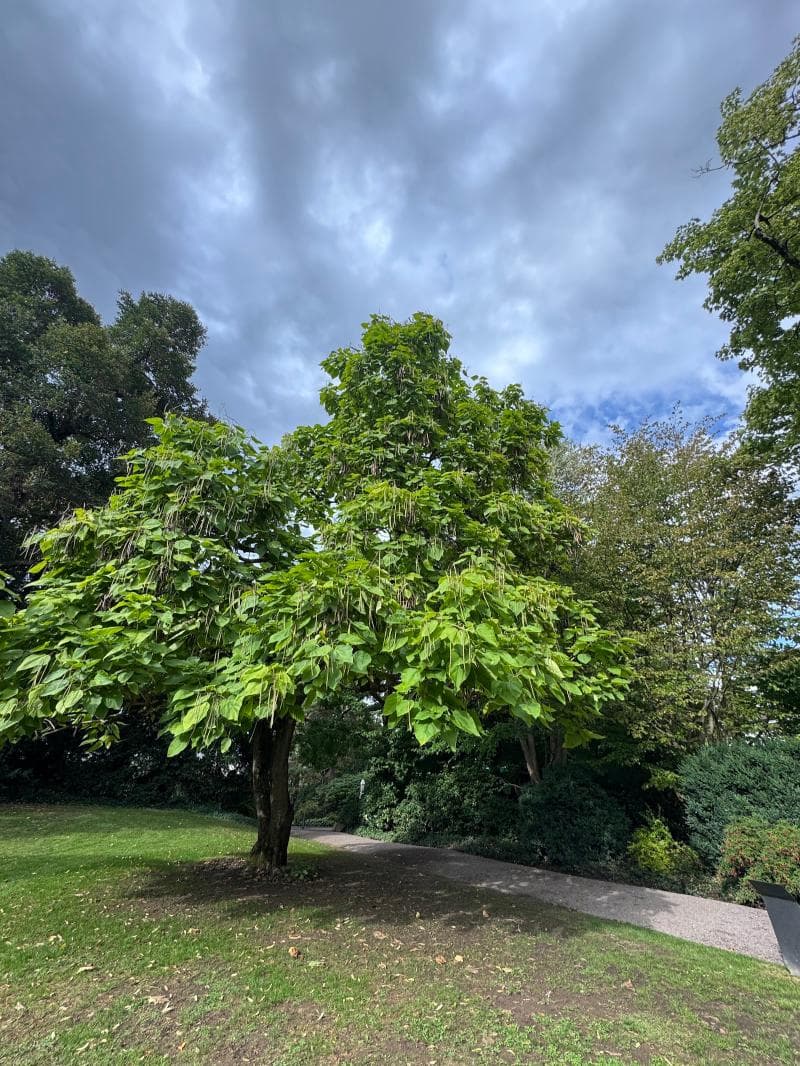 Berower Park