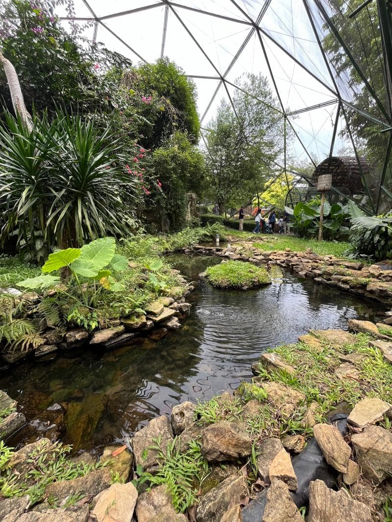 Bird Park