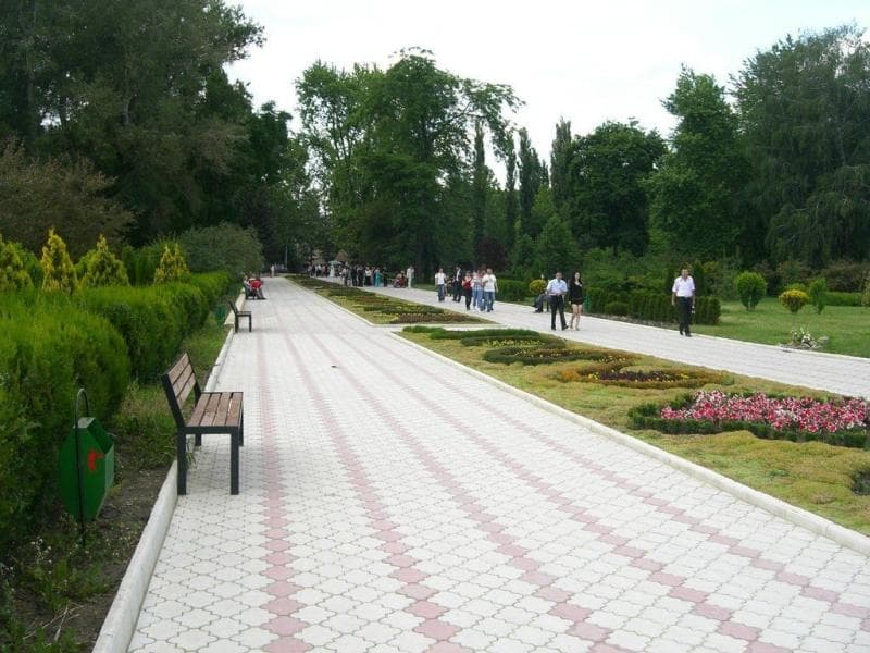 Birdwatching Areas