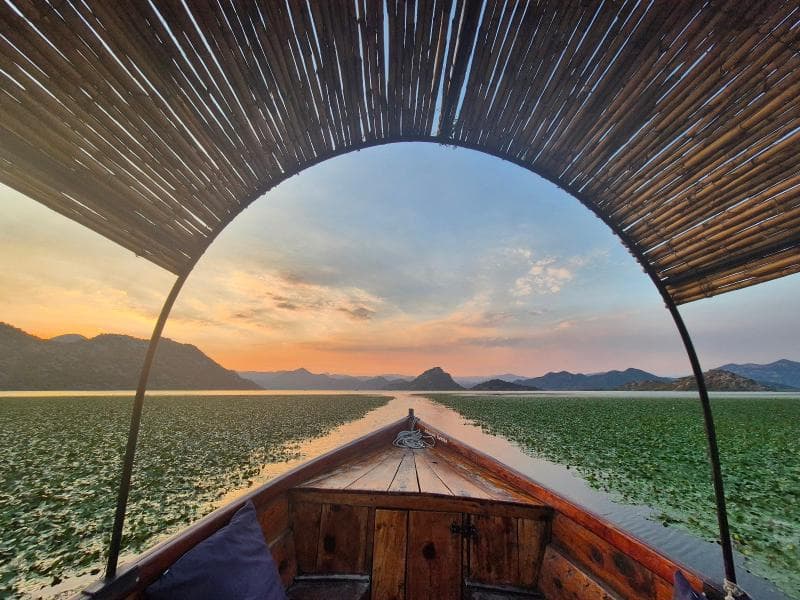 Boat Tours