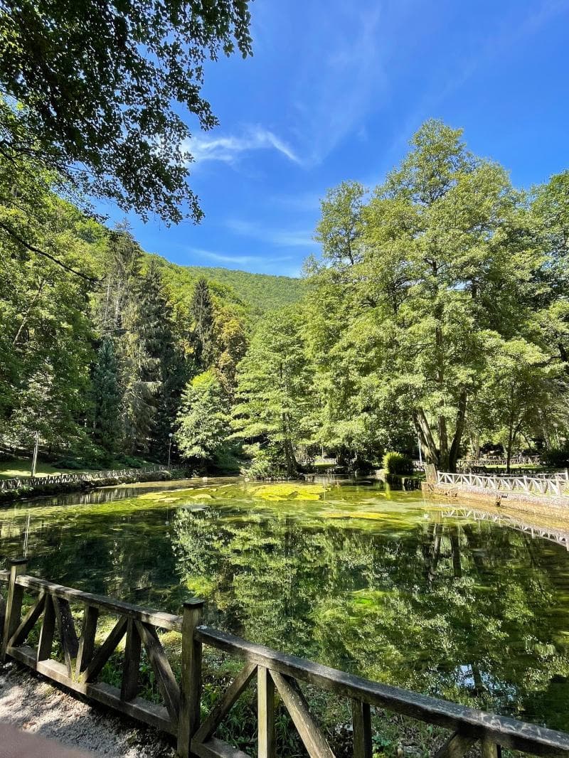 Bosna River Springs