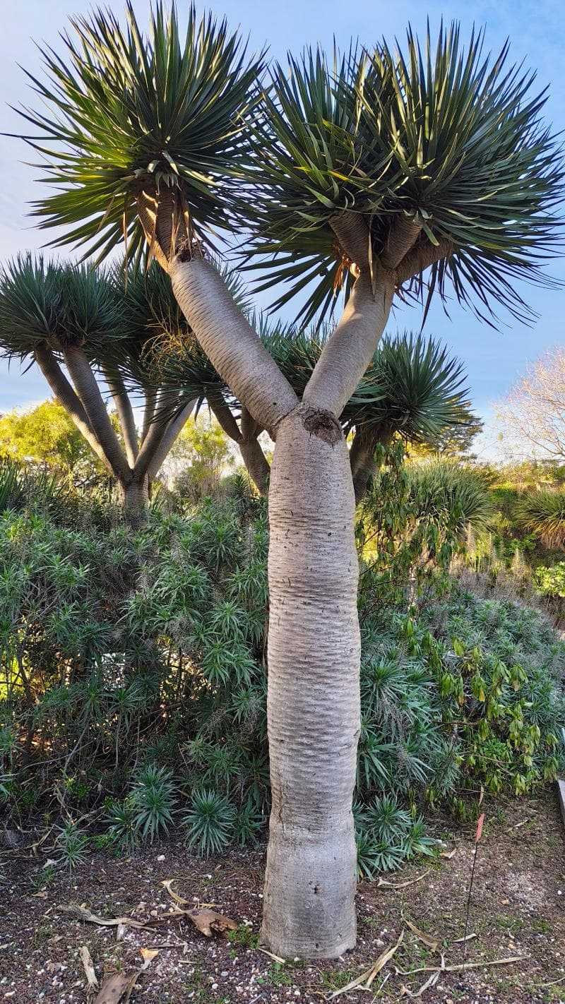 Botanical Garden