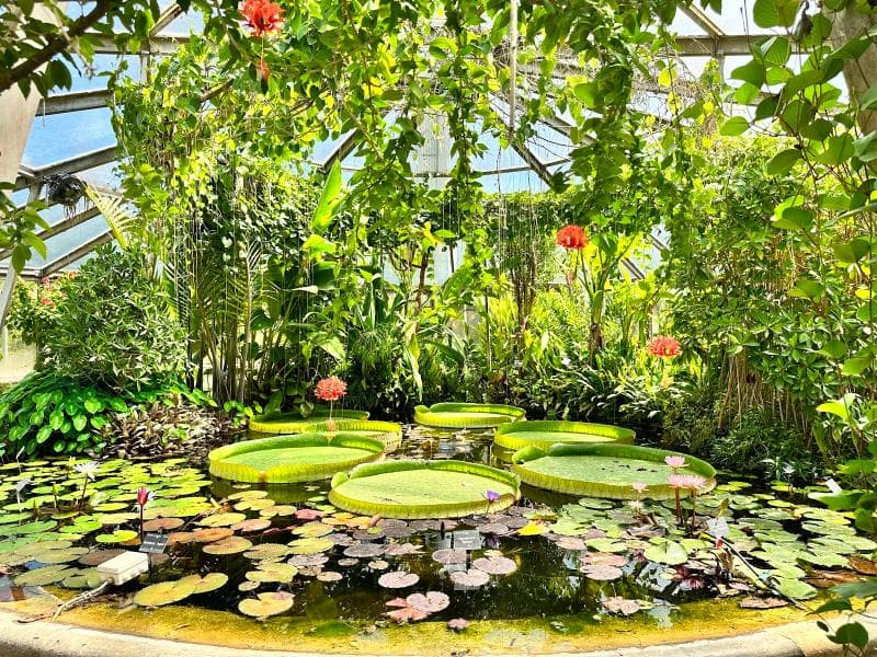 Botanical Garden