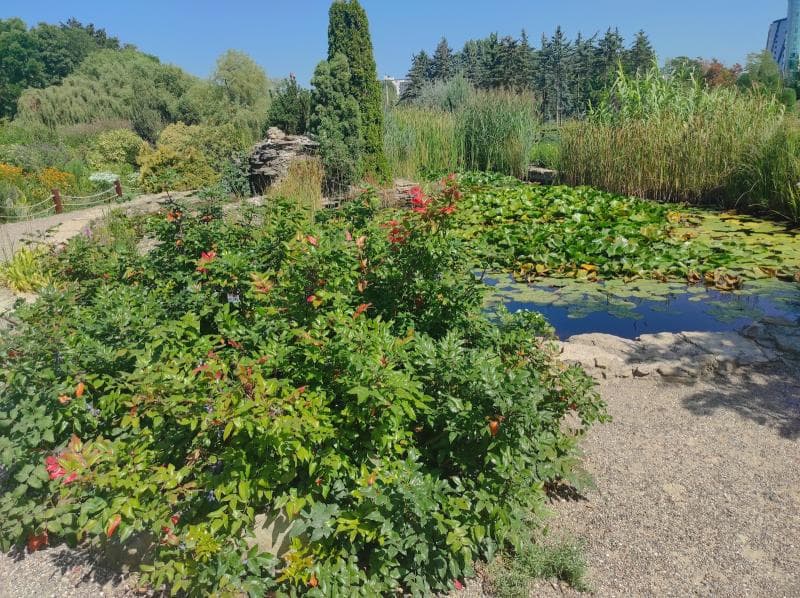 Botanical Gardens