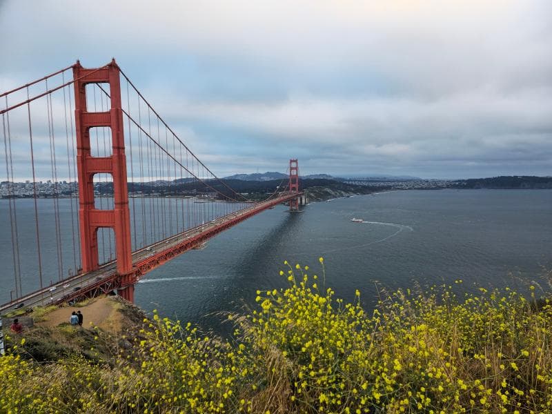 Bridge Walkways