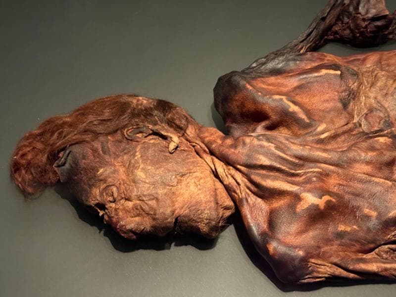 Bronze Age Collection