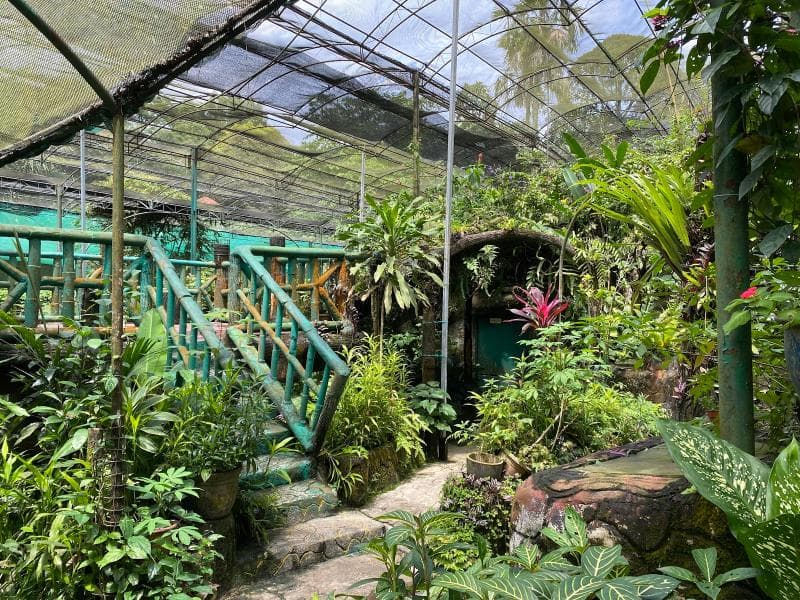 Butterfly Park