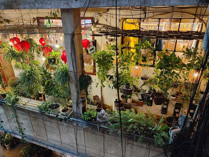 Cafe Apartments