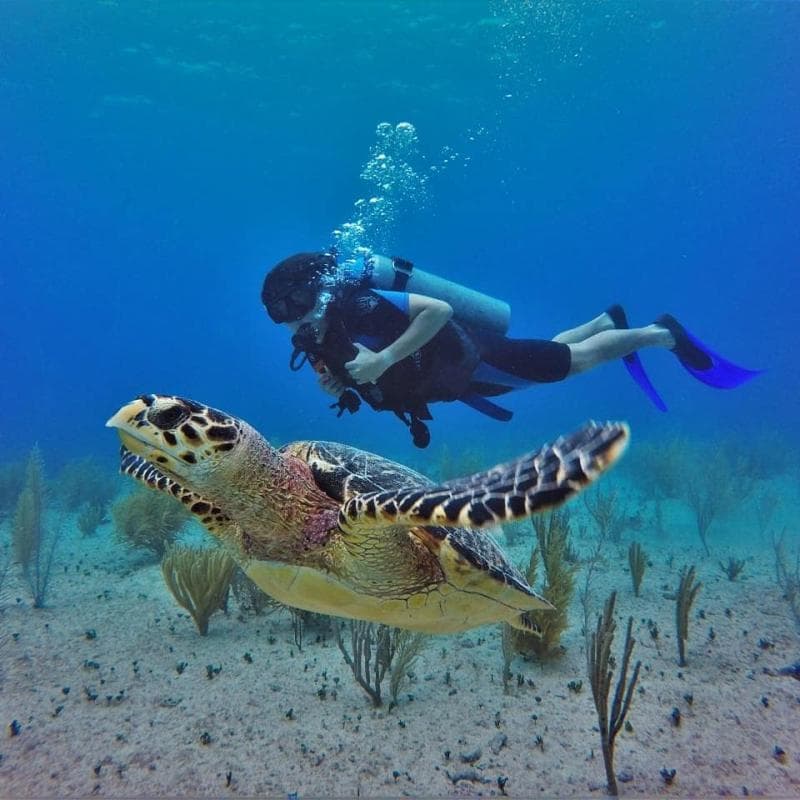 Cancun Underwater Museum