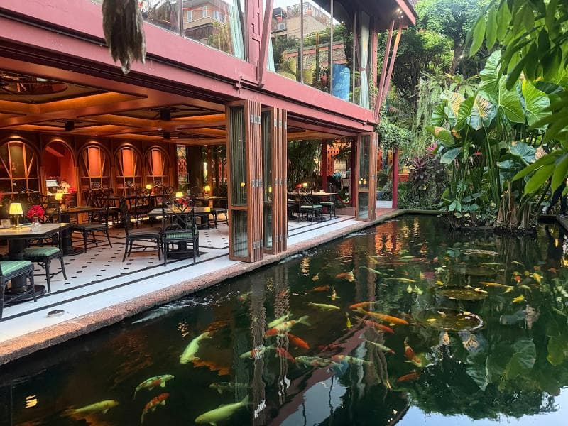 Central Garden and Fish Pond