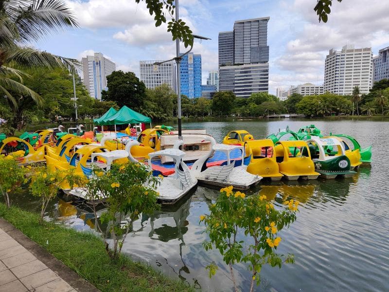 Central Lake & Swan Paddleboats