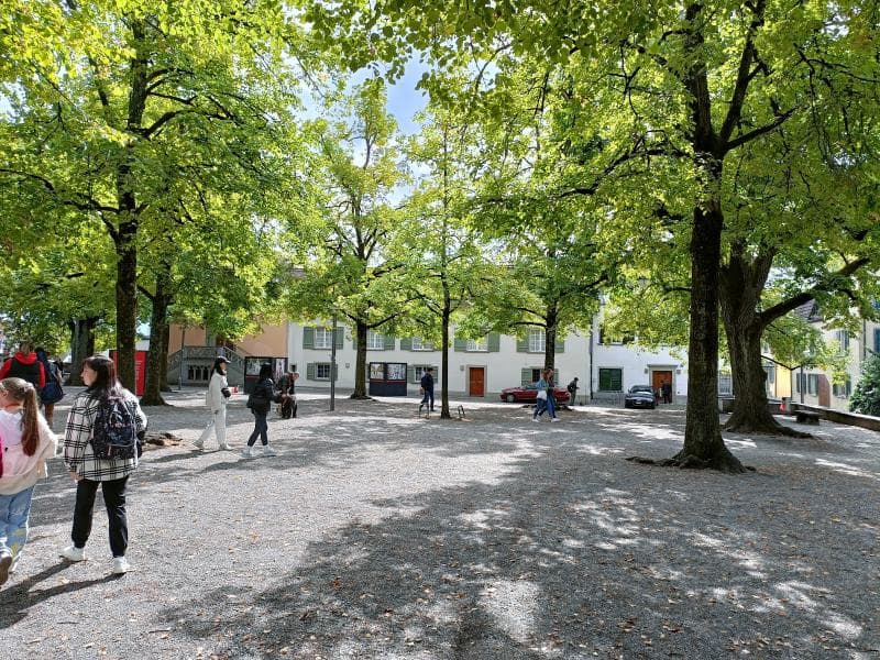 Chess Area