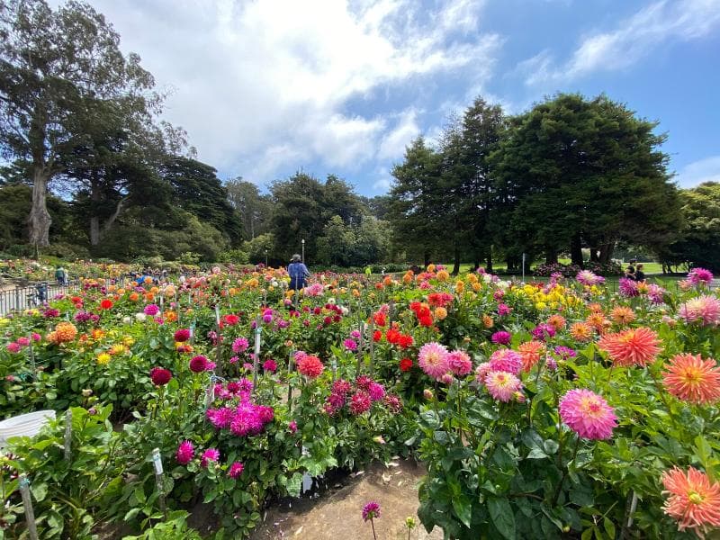 Conservatory Of Flowers